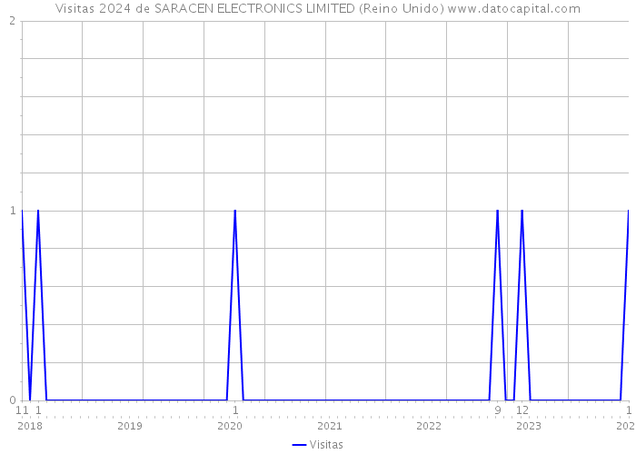 Visitas 2024 de SARACEN ELECTRONICS LIMITED (Reino Unido) 