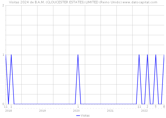 Visitas 2024 de B.A.M. (GLOUCESTER ESTATES) LIMITED (Reino Unido) 