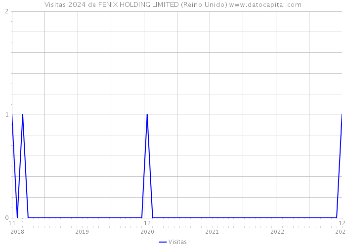 Visitas 2024 de FENIX HOLDING LIMITED (Reino Unido) 
