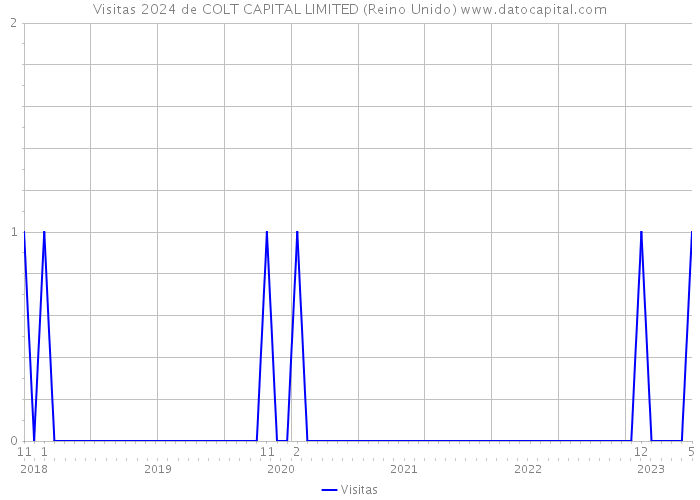 Visitas 2024 de COLT CAPITAL LIMITED (Reino Unido) 