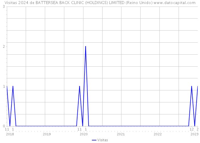Visitas 2024 de BATTERSEA BACK CLINIC (HOLDINGS) LIMITED (Reino Unido) 