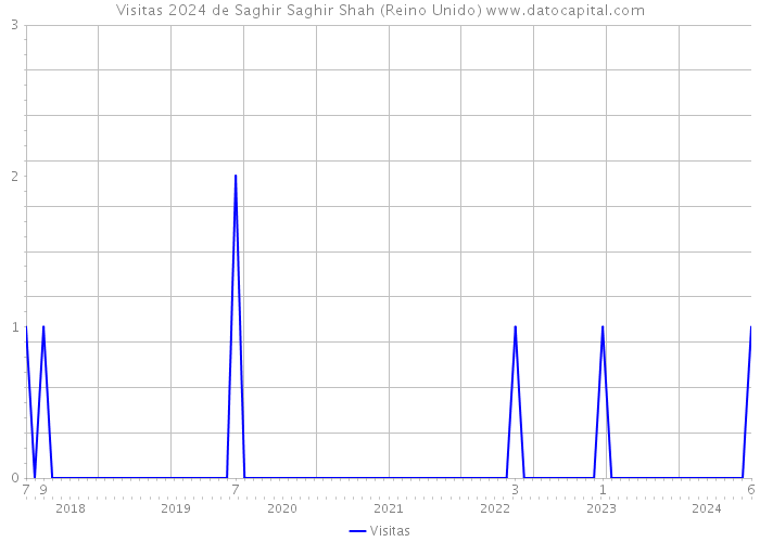 Visitas 2024 de Saghir Saghir Shah (Reino Unido) 