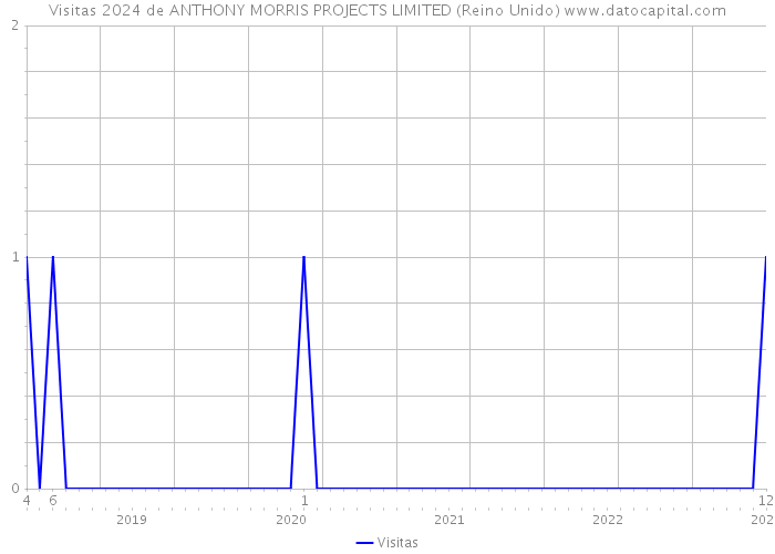 Visitas 2024 de ANTHONY MORRIS PROJECTS LIMITED (Reino Unido) 