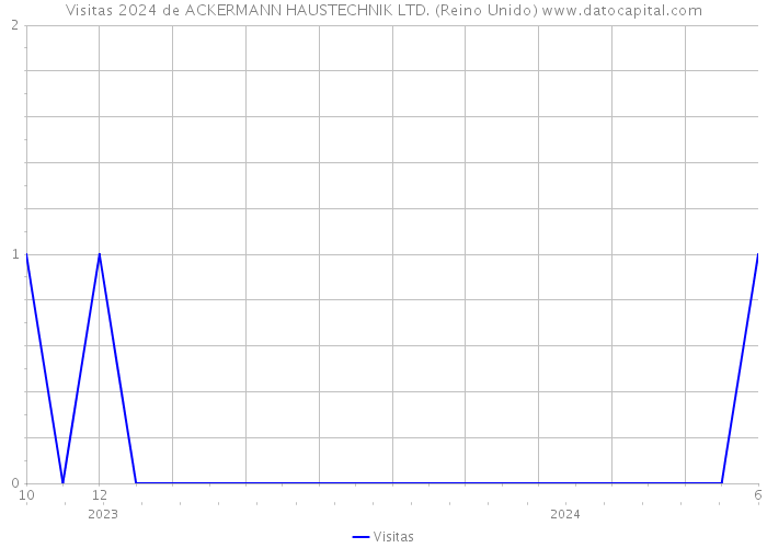 Visitas 2024 de ACKERMANN HAUSTECHNIK LTD. (Reino Unido) 