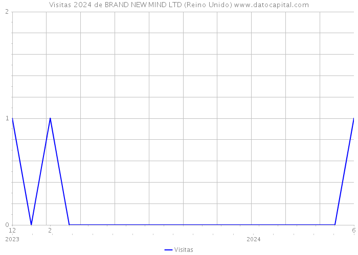 Visitas 2024 de BRAND NEW MIND LTD (Reino Unido) 