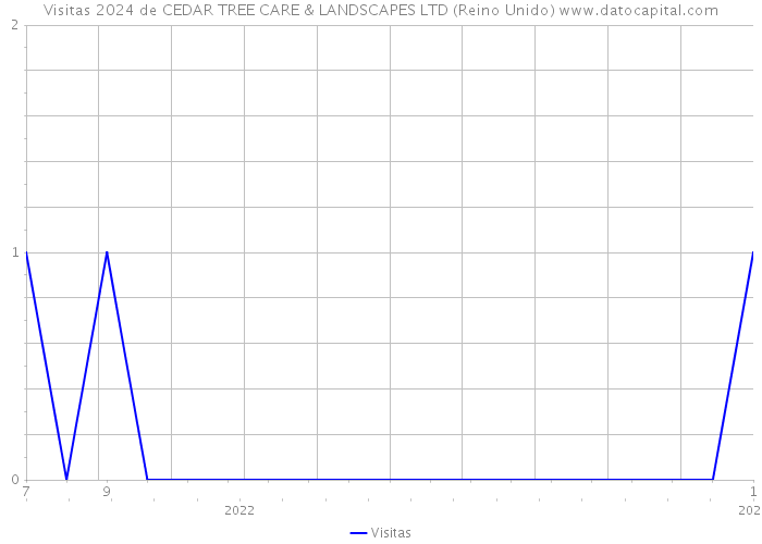 Visitas 2024 de CEDAR TREE CARE & LANDSCAPES LTD (Reino Unido) 