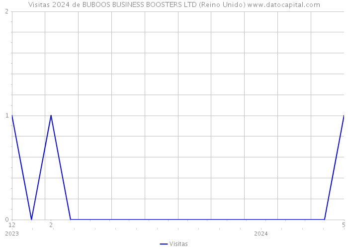 Visitas 2024 de BUBOOS BUSINESS BOOSTERS LTD (Reino Unido) 