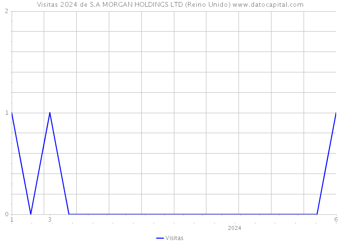 Visitas 2024 de S.A MORGAN HOLDINGS LTD (Reino Unido) 