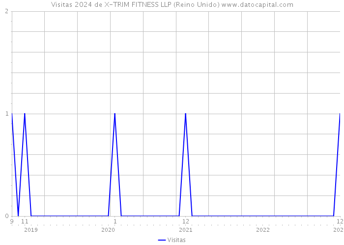 Visitas 2024 de X-TRIM FITNESS LLP (Reino Unido) 