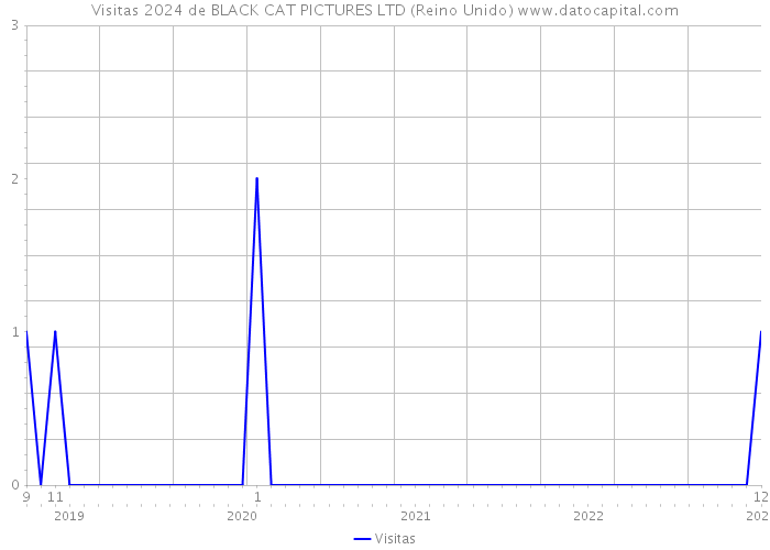 Visitas 2024 de BLACK CAT PICTURES LTD (Reino Unido) 