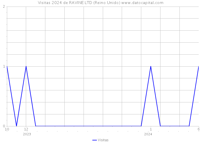 Visitas 2024 de RAVINE LTD (Reino Unido) 