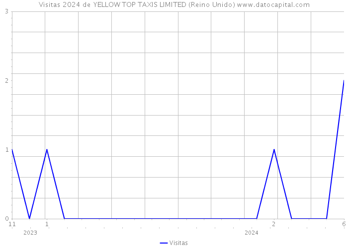 Visitas 2024 de YELLOW TOP TAXIS LIMITED (Reino Unido) 