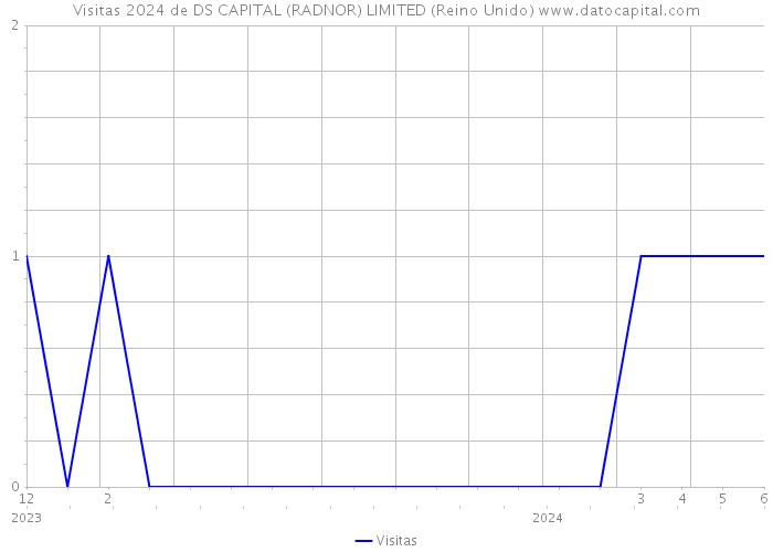 Visitas 2024 de DS CAPITAL (RADNOR) LIMITED (Reino Unido) 