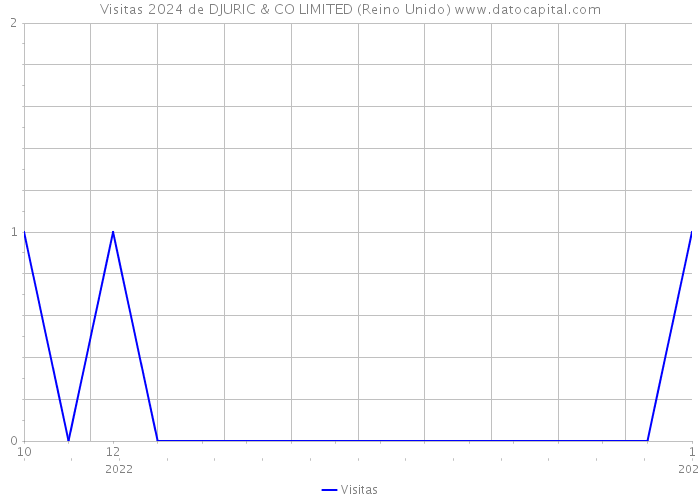 Visitas 2024 de DJURIC & CO LIMITED (Reino Unido) 