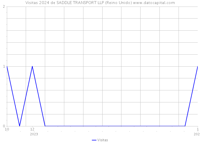 Visitas 2024 de SADDLE TRANSPORT LLP (Reino Unido) 