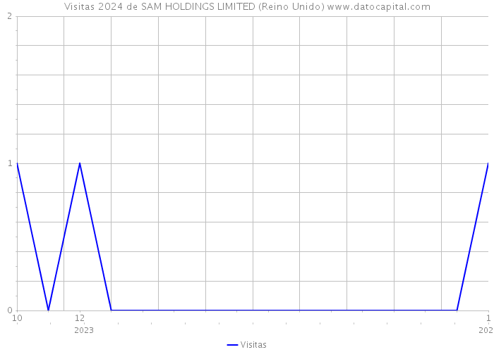 Visitas 2024 de SAM HOLDINGS LIMITED (Reino Unido) 