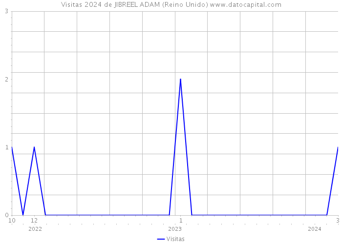 Visitas 2024 de JIBREEL ADAM (Reino Unido) 