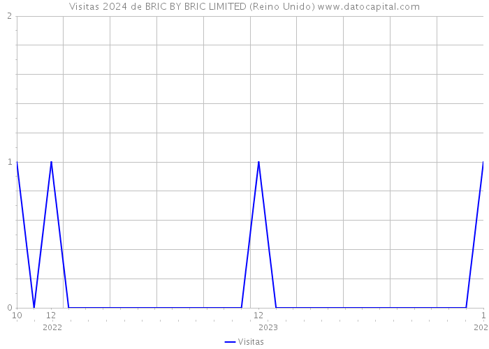 Visitas 2024 de BRIC BY BRIC LIMITED (Reino Unido) 