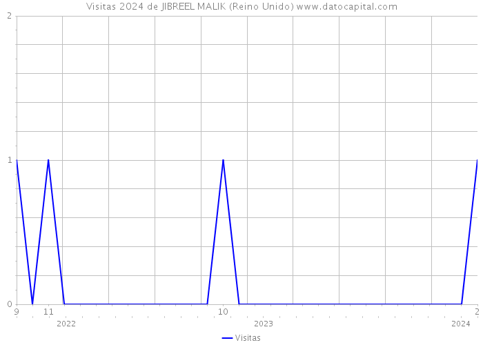 Visitas 2024 de JIBREEL MALIK (Reino Unido) 