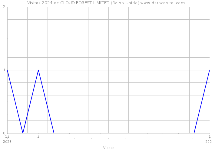 Visitas 2024 de CLOUD FOREST LIMITED (Reino Unido) 
