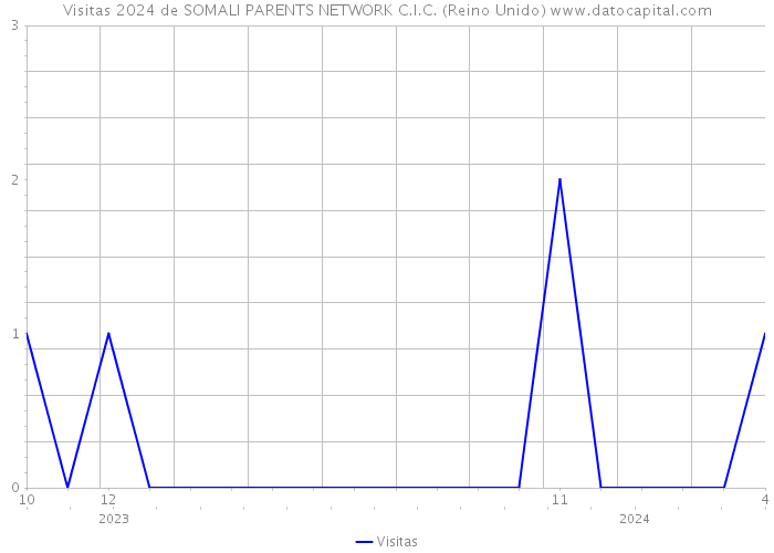 Visitas 2024 de SOMALI PARENTS NETWORK C.I.C. (Reino Unido) 