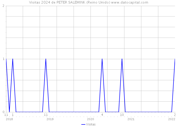 Visitas 2024 de PETER SALEMINK (Reino Unido) 