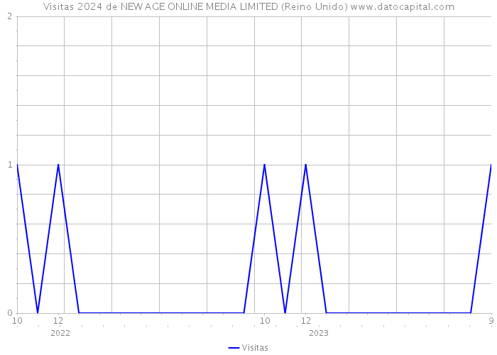 Visitas 2024 de NEW AGE ONLINE MEDIA LIMITED (Reino Unido) 