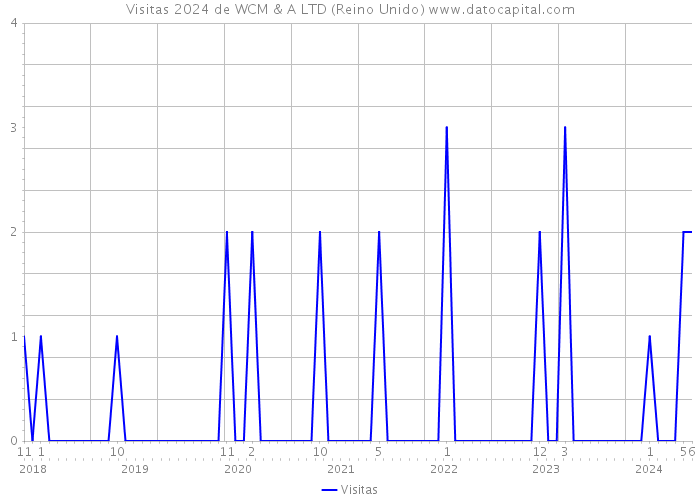 Visitas 2024 de WCM & A LTD (Reino Unido) 