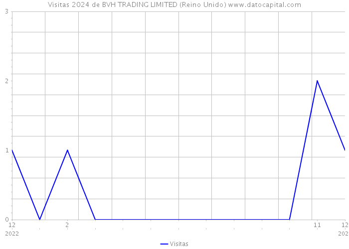 Visitas 2024 de BVH TRADING LIMITED (Reino Unido) 