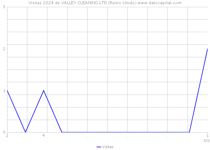 Visitas 2024 de VALLEY CLEANING LTD (Reino Unido) 