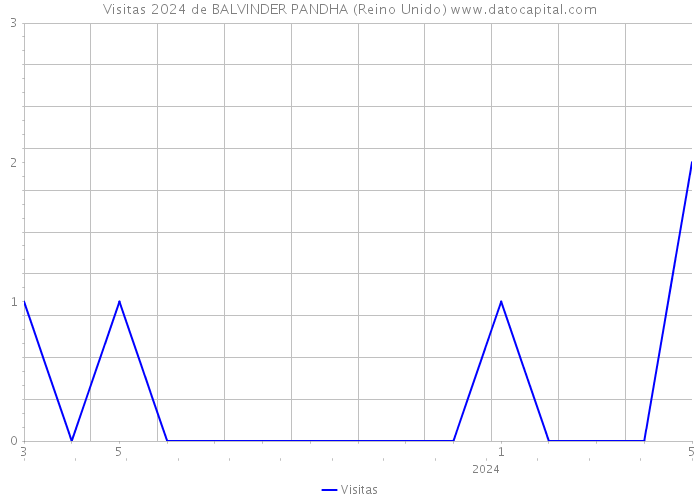 Visitas 2024 de BALVINDER PANDHA (Reino Unido) 