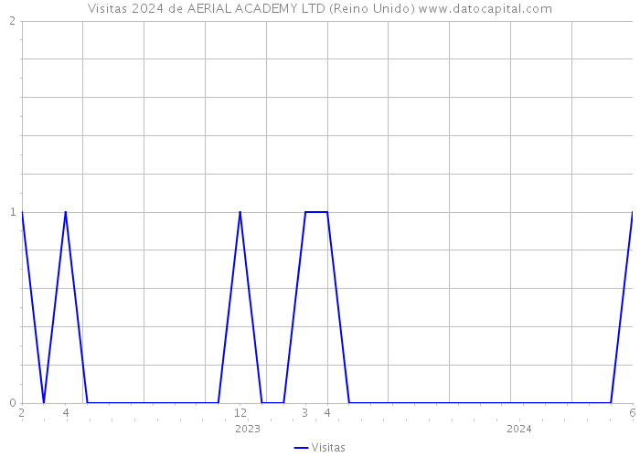 Visitas 2024 de AERIAL ACADEMY LTD (Reino Unido) 