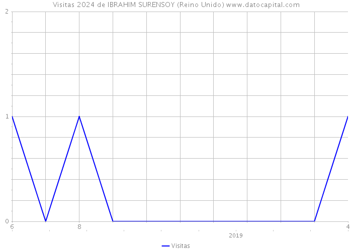 Visitas 2024 de IBRAHIM SURENSOY (Reino Unido) 