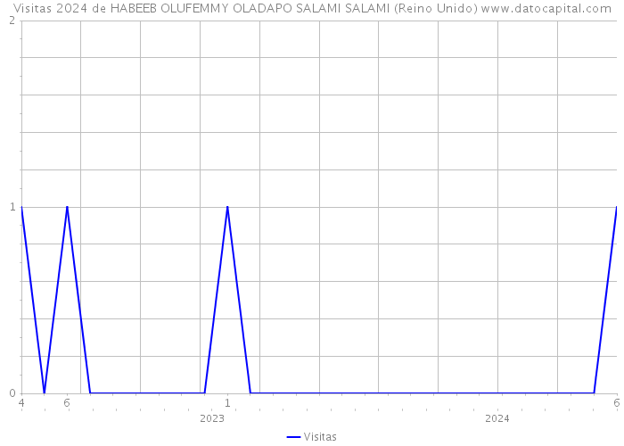 Visitas 2024 de HABEEB OLUFEMMY OLADAPO SALAMI SALAMI (Reino Unido) 