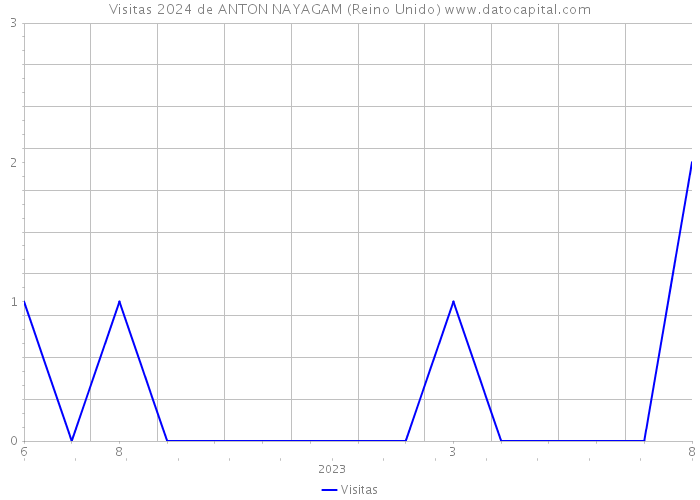 Visitas 2024 de ANTON NAYAGAM (Reino Unido) 