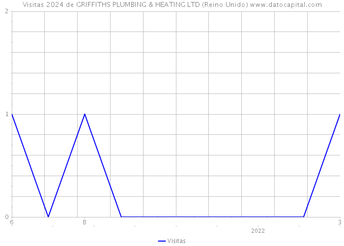 Visitas 2024 de GRIFFITHS PLUMBING & HEATING LTD (Reino Unido) 