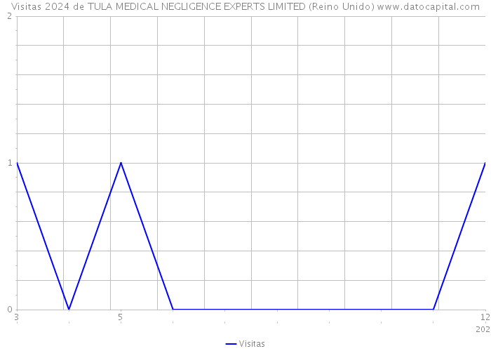 Visitas 2024 de TULA MEDICAL NEGLIGENCE EXPERTS LIMITED (Reino Unido) 