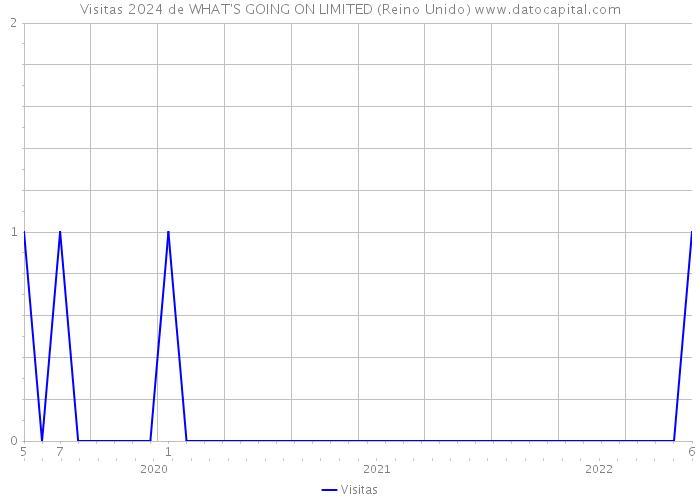 Visitas 2024 de WHAT'S GOING ON LIMITED (Reino Unido) 