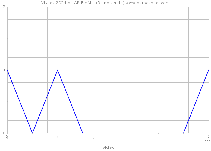 Visitas 2024 de ARIF AMIJI (Reino Unido) 