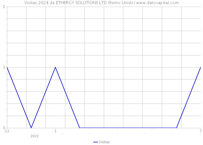 Visitas 2024 de ETHERGY SOLUTIONS LTD (Reino Unido) 