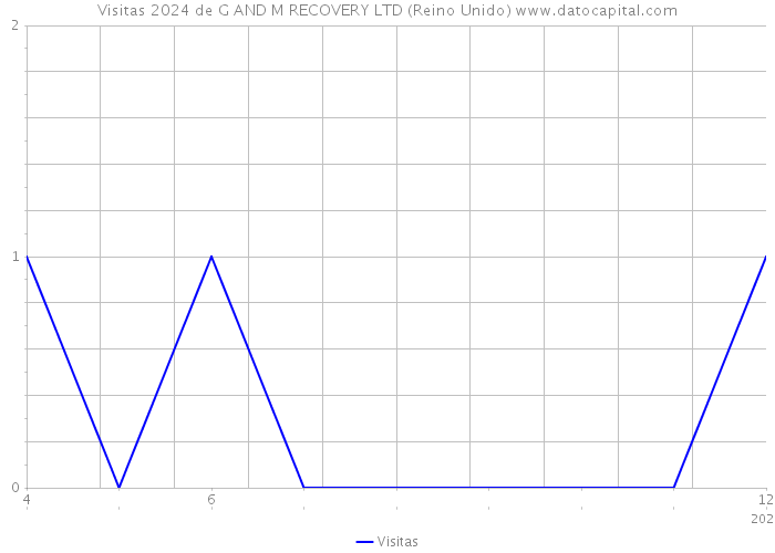 Visitas 2024 de G AND M RECOVERY LTD (Reino Unido) 