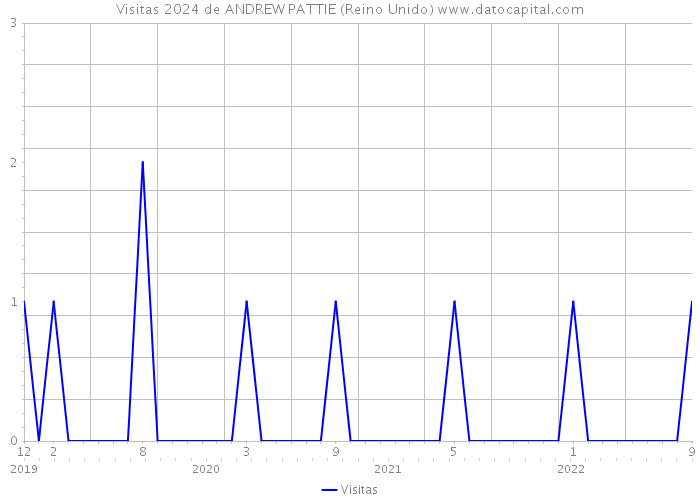 Visitas 2024 de ANDREW PATTIE (Reino Unido) 