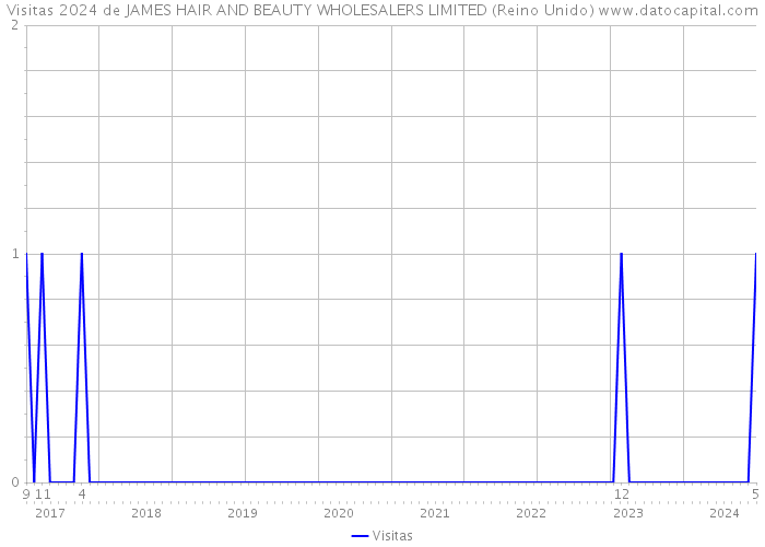 Visitas 2024 de JAMES HAIR AND BEAUTY WHOLESALERS LIMITED (Reino Unido) 