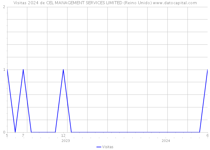 Visitas 2024 de CEL MANAGEMENT SERVICES LIMITED (Reino Unido) 