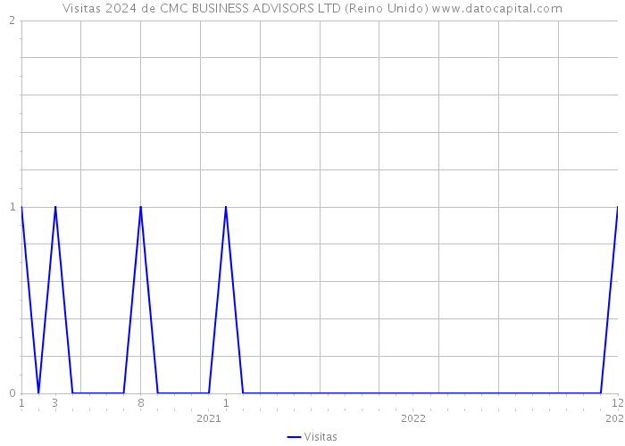 Visitas 2024 de CMC BUSINESS ADVISORS LTD (Reino Unido) 