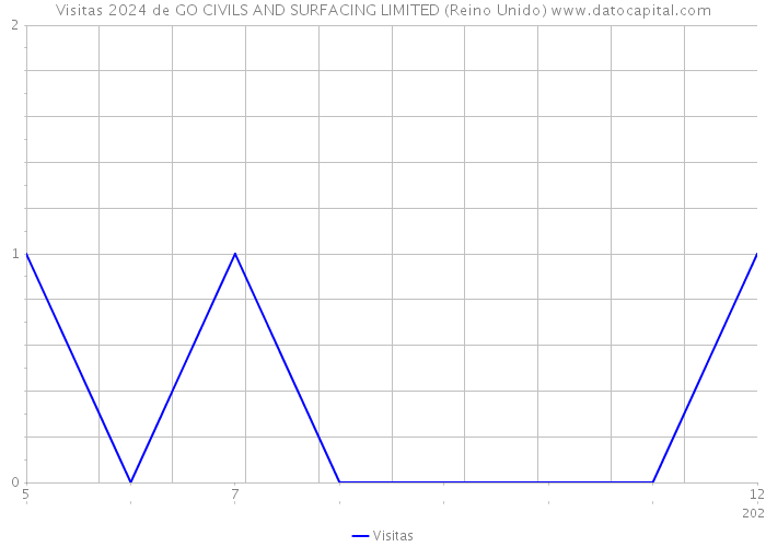 Visitas 2024 de GO CIVILS AND SURFACING LIMITED (Reino Unido) 