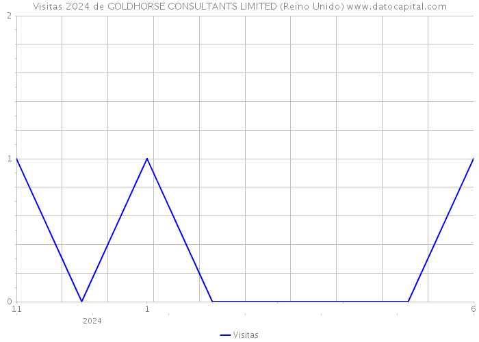 Visitas 2024 de GOLDHORSE CONSULTANTS LIMITED (Reino Unido) 