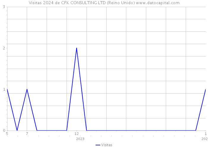 Visitas 2024 de CFK CONSULTING LTD (Reino Unido) 