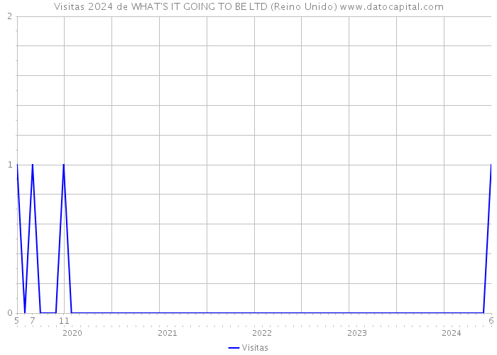 Visitas 2024 de WHAT'S IT GOING TO BE LTD (Reino Unido) 
