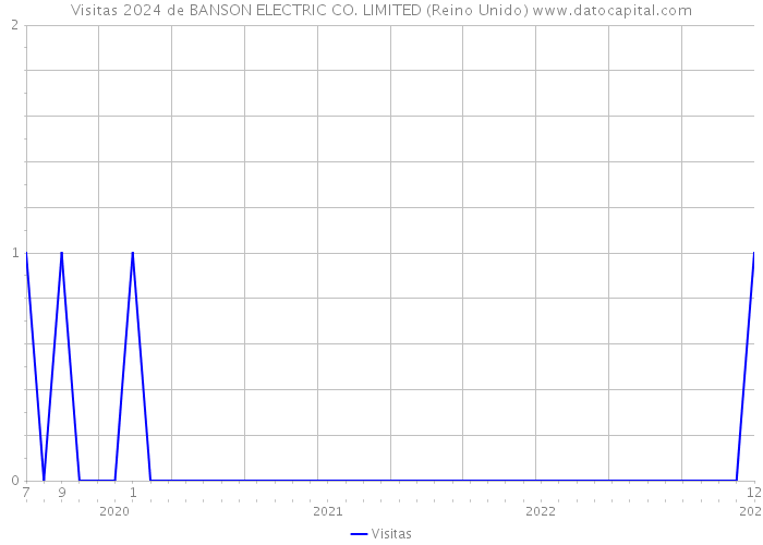 Visitas 2024 de BANSON ELECTRIC CO. LIMITED (Reino Unido) 